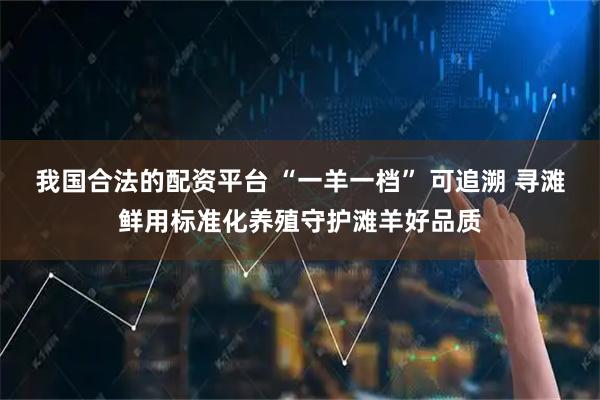 我国合法的配资平台 “一羊一档” 可追溯 寻滩鲜用标准化养殖守护滩羊好品质