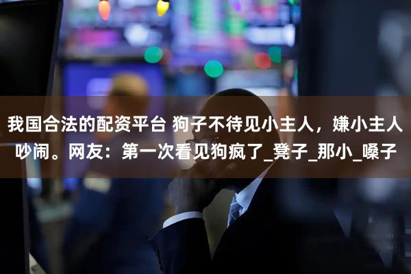 我国合法的配资平台 狗子不待见小主人，嫌小主人吵闹。网友：第一次看见狗疯了_凳子_那小_嗓子